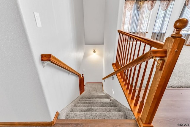 stairs with carpet flooring