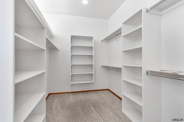 spacious closet with light carpet