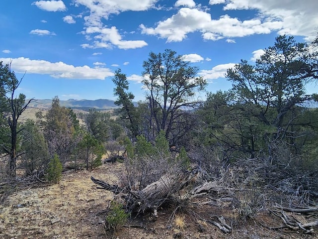 TBD 35th Trail, Cotopaxi CO, 81223 land for sale