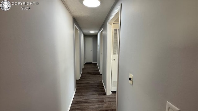 1157 County Road 119, Florence, CO 81226 - corridor featuring dark wood finished floors and baseboards