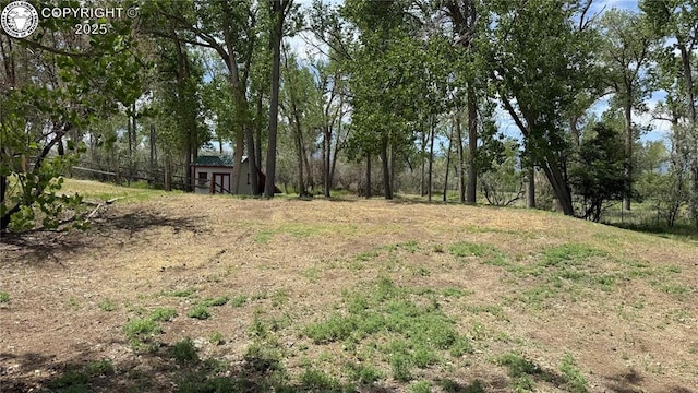 1157 County Road 119, Florence, CO 81226 - view of yard