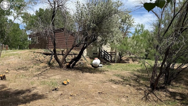 1157 County Road 119, Florence, CO 81226 - view of yard