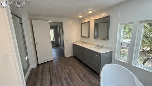 1157 County Road 119, Florence, CO 81226 - bathroom with wood finished floors, plenty of natural light, a freestanding bath, a textured ceiling, and double vanity