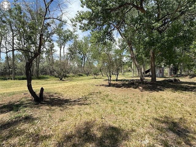 1157 County Road 119, Florence, CO 81226 - view of grassy yard