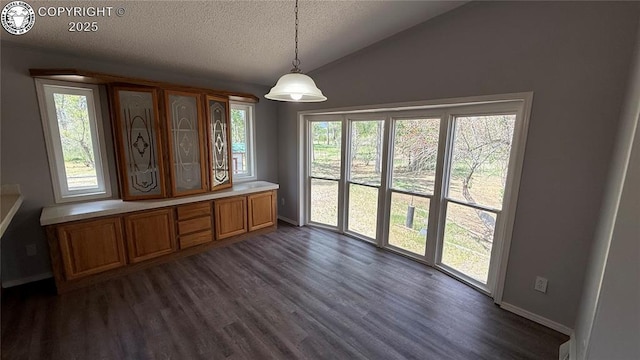 1157 County Road 119, Florence, CO 81226 - unfurnished dining area with dark wood-type flooring, a textured ceiling, lofted ceiling, and baseboards