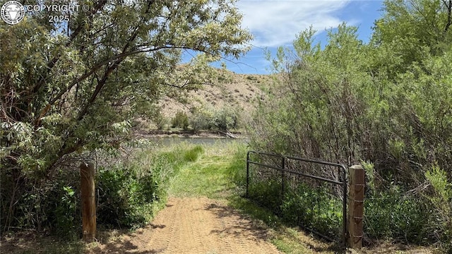 1157 County Road 119, Florence, CO 81226 - gate with a wooded view