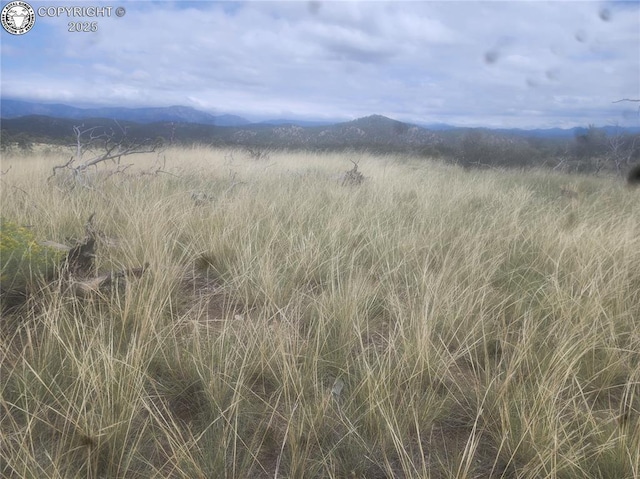 000 E Path, Cotopaxi CO, 81223 land for sale