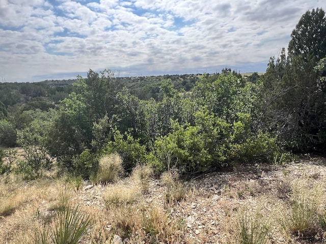 Listing photo 2 for LOT315 Georgetown Ln, Colorado City CO 81019