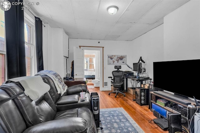 living room featuring light hardwood / wood-style flooring and a healthy amount of sunlight