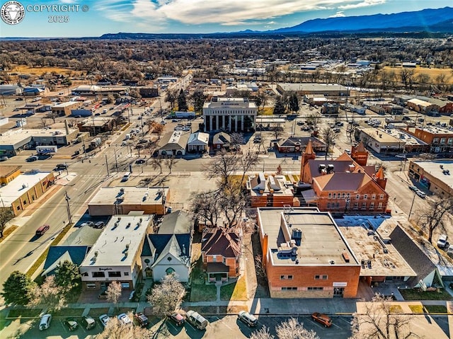 drone / aerial view with a mountain view