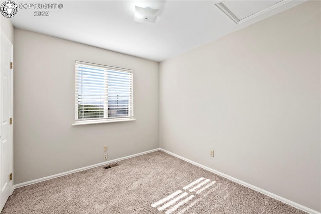 empty room featuring carpet