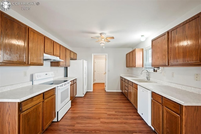 kitchen featuring sink, white appliances, ceiling fan, and hardwood / wood-style flooring