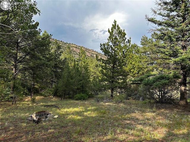758 Basin Dr, Cotopaxi, CO 81223 - photo 1