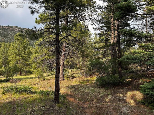 758 Basin Dr, Cotopaxi, CO 81223 - photo 13