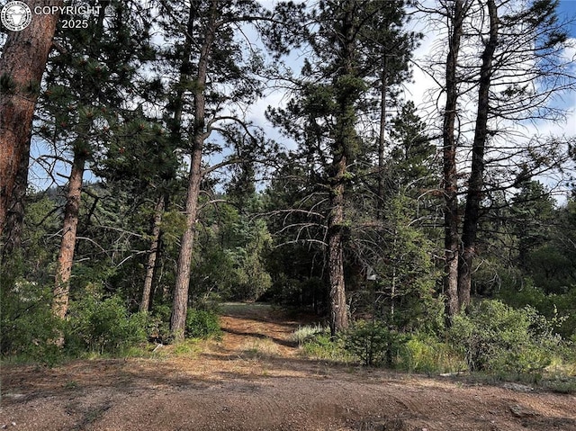 758 Basin Dr, Cotopaxi, CO 81223 - photo 17