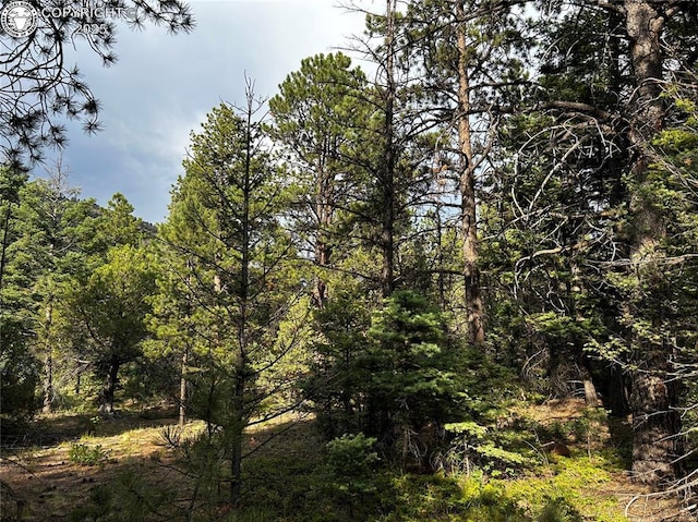 758 Basin Dr, Cotopaxi, CO 81223 - photo 14