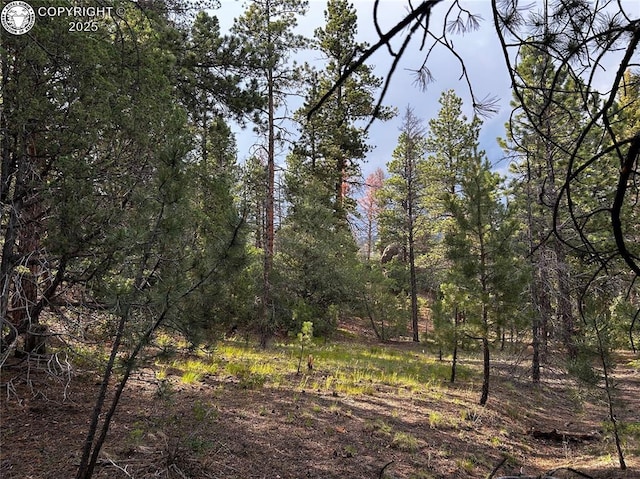 758 Basin Dr, Cotopaxi, CO 81223 - photo 15