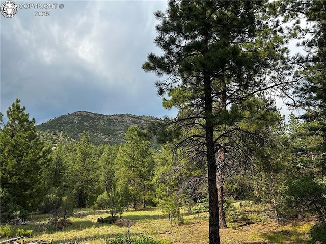 758 Basin Dr, Cotopaxi, CO 81223 - photo 2