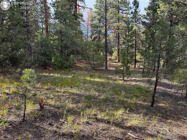 758 Basin Dr, Cotopaxi, CO 81223 - photo 16