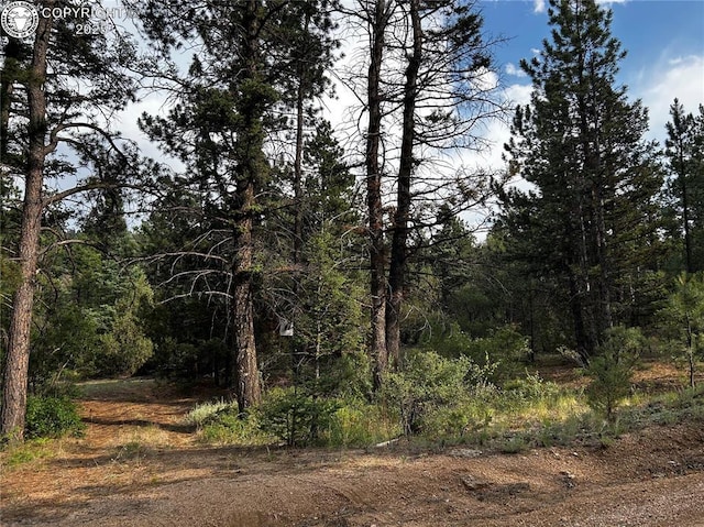 758 Basin Dr, Cotopaxi, CO 81223 - photo 18