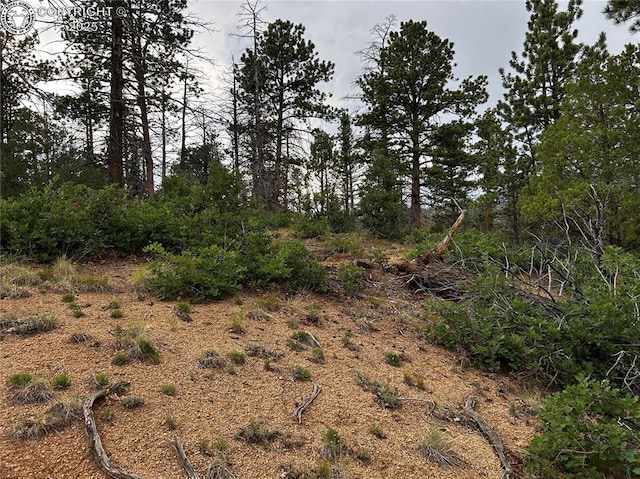 758 Basin Dr, Cotopaxi, CO 81223 - photo 20