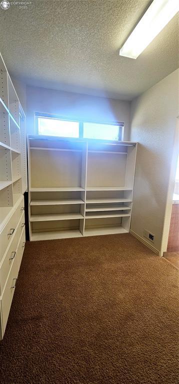 spacious closet with carpet flooring