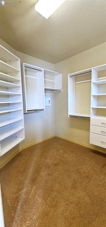 spacious closet featuring carpet flooring