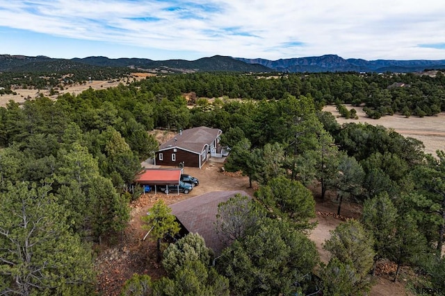 drone / aerial view featuring a mountain view