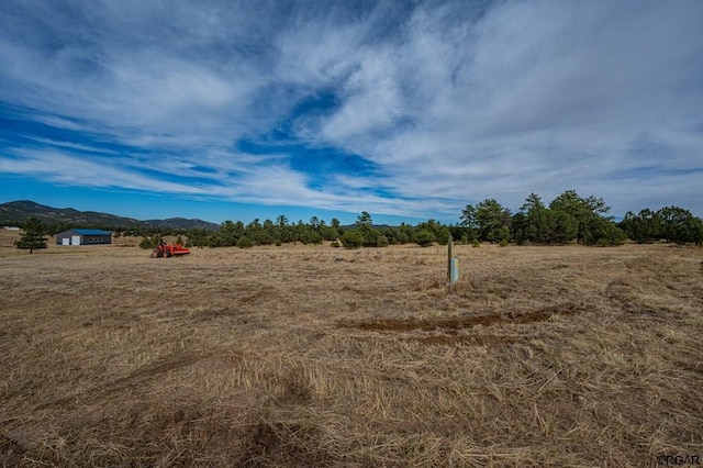 view of yard featuring a rural view and a mountain view