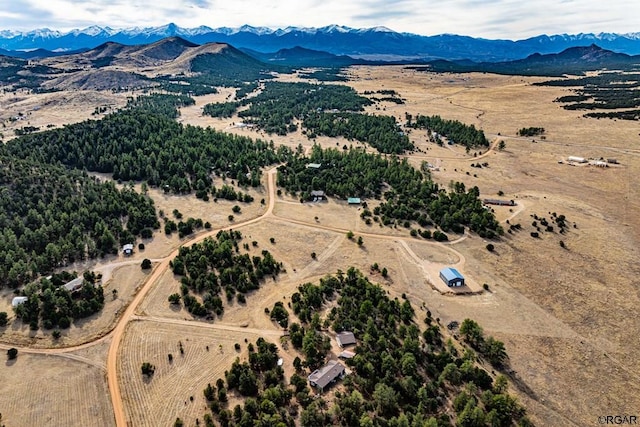 birds eye view of property featuring a mountain view