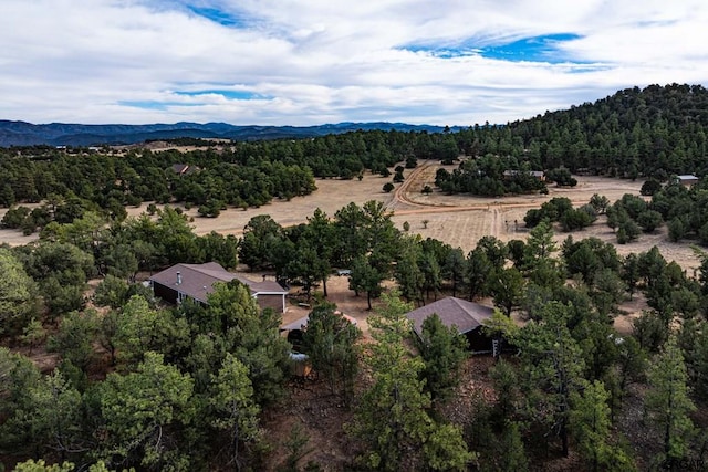 drone / aerial view with a mountain view