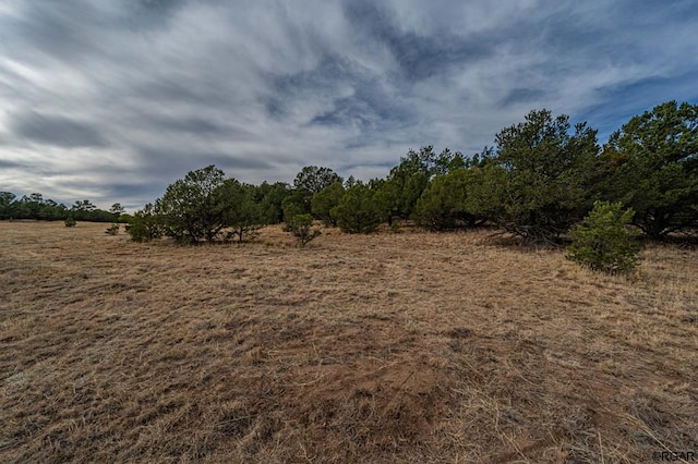 view of landscape featuring a rural view