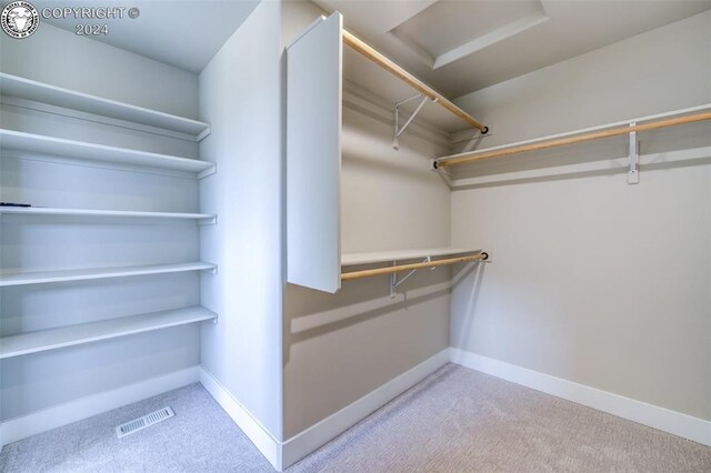 walk in closet featuring light colored carpet