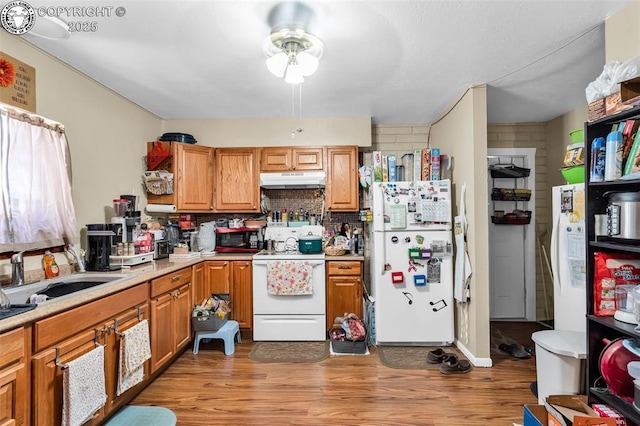 kitchen featuring sink, white appliances, a wealth of natural light, and light hardwood / wood-style floors