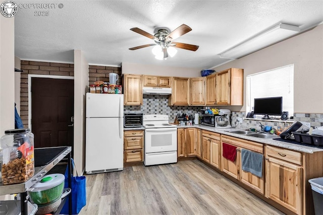 kitchen featuring sink, tasteful backsplash, a textured ceiling, white appliances, and light hardwood / wood-style floors