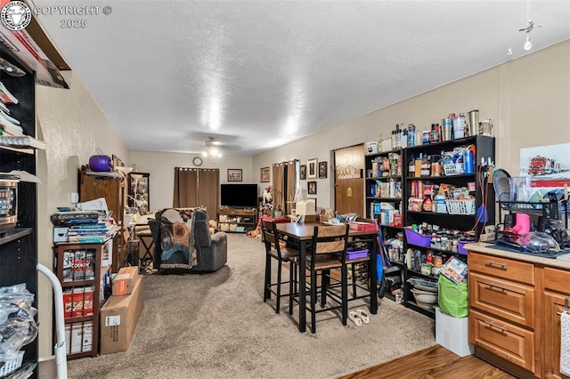 carpeted dining area with a textured ceiling