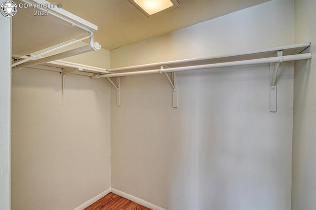 spacious closet featuring hardwood / wood-style flooring