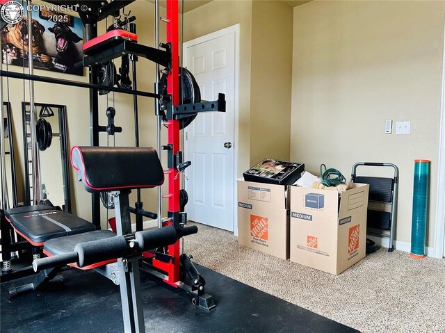 248 Indian Hills Rd, Florence, CO 81226 - workout area with baseboards and carpet