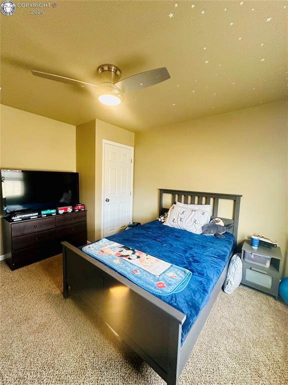 248 Indian Hills Rd, Florence, CO 81226 - bedroom featuring a ceiling fan and carpet floors
