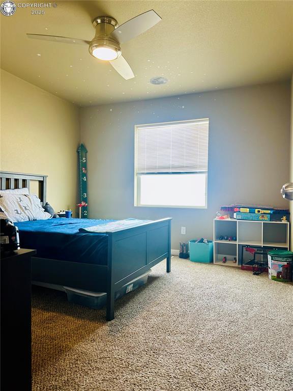 248 Indian Hills Rd, Florence, CO 81226 - bedroom with carpet flooring and ceiling fan