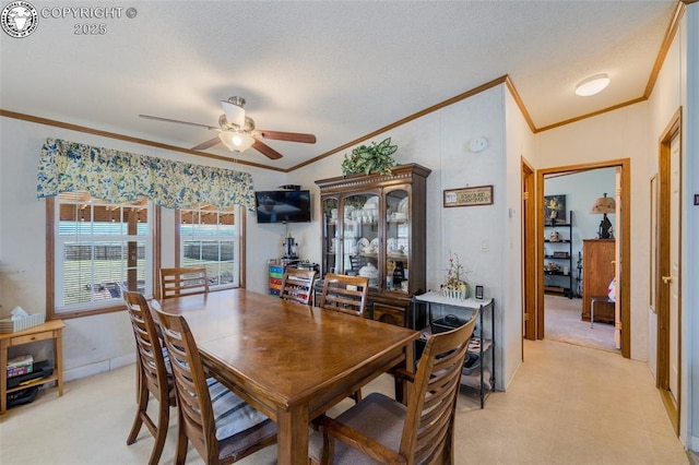 206 Indian Hills Rd, Florence, CO 81226 - photo 15