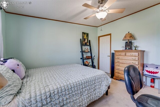 206 Indian Hills Rd, Florence, CO 81226 - photo 6