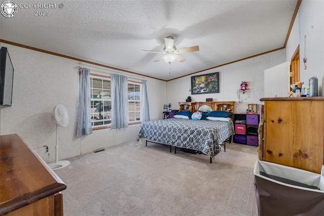 206 Indian Hills Rd, Florence, CO 81226 - photo 8