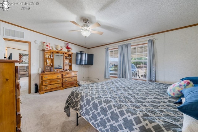 206 Indian Hills Rd, Florence, CO 81226 - photo 10