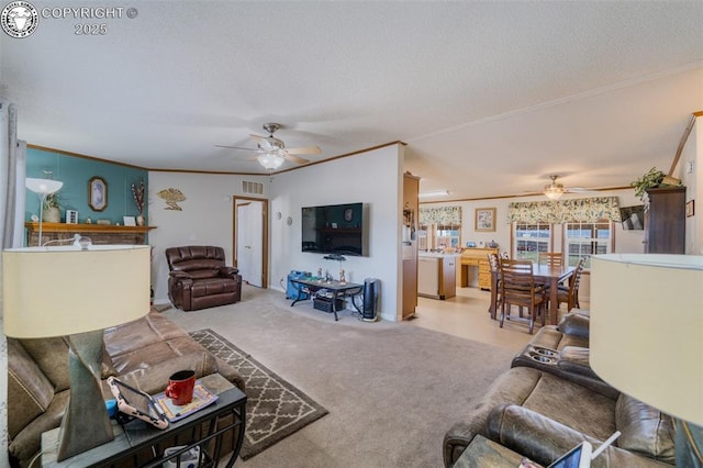 206 Indian Hills Rd, Florence, CO 81226 - photo 14
