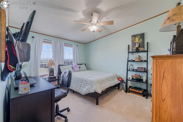 206 Indian Hills Rd, Florence, CO 81226 - photo 21