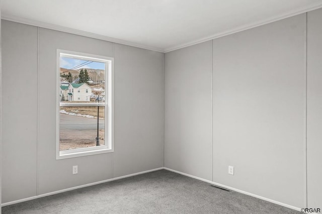 spare room with ornamental molding and carpet floors