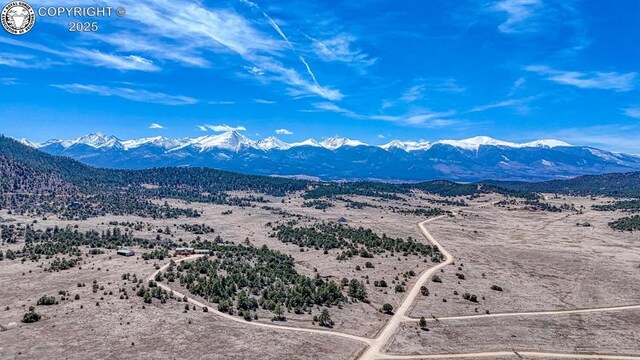 750 Roundup Rd, Westcliffe, CO 81252 - mountain view featuring a desert view