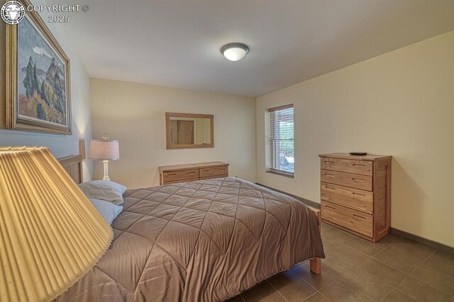 750 Roundup Rd, Westcliffe, CO 81252 - bedroom featuring tile patterned floors and baseboards