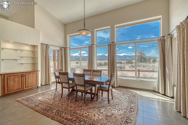 750 Roundup Rd, Westcliffe, CO 81252 - dining area with a mountain view, light tile patterned floors, and a high ceiling